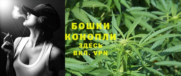 PSILOCYBIN Аркадак