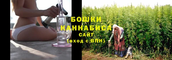 apvp Арсеньев