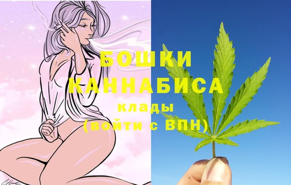 apvp Арсеньев