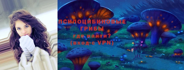 apvp Арсеньев